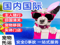 佛山机场空运国际宠物托运 【国